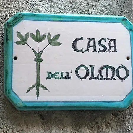 Casa Dell'Olmo Apartment Orvieto Exterior photo